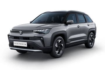 Splendid Silver With Bluish Black Roof