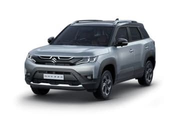 Splendid Silver With Bluish Black Roof